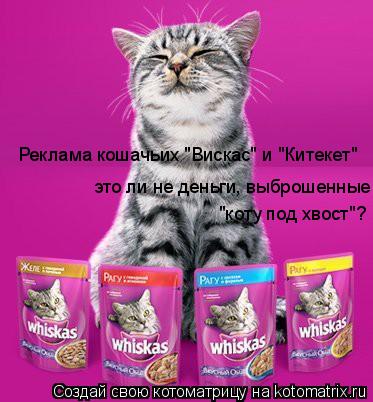 Реклама кошачьих "Вискас" и "Китекет" это ли не деньги, выброшенные "коту под хвост"?... Котоматрица: Реклама кошачьих "Вискас" и "Китекет" это ли не деньги, выброшенные "коту под хвост"?