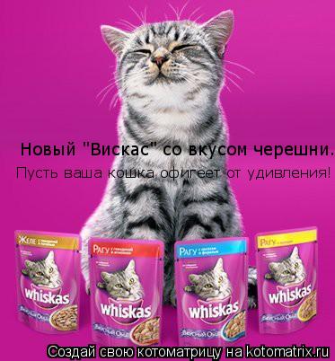 Новый "Вискас" со вкусом черешни. Пусть ваша кошка офигеет от удивления!... Котоматрица: Новый "Вискас" со вкусом черешни. Пусть ваша кошка офигеет от удивления!