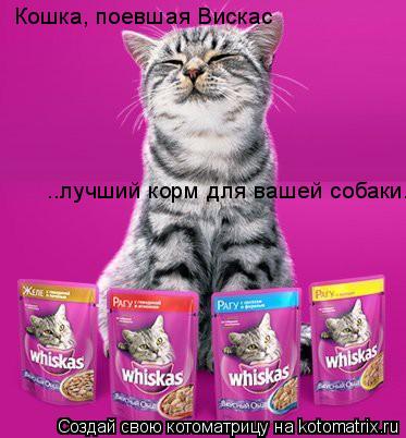 Кошка, поевшая Вискас ..лучший корм для вашей собаки.... Котоматрица: Кошка, поевшая Вискас ..лучший корм для вашей собаки.