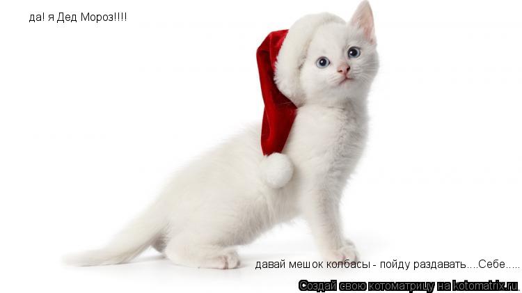 да! я Дед Мороз!!!! давай мешок колбасы - пойду раздавать....Себе........ Котоматрица: да! я Дед Мороз!!!! давай мешок колбасы - пойду раздавать....Себе.....