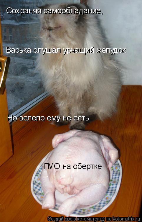 Васька слушал урчащий желудок Сохраняя самообладание, Но велело ему не есть ГМО на обёртке... Котоматрица: Васька слушал урчащий желудок Сохраняя самообладание, Но велело ему не есть ГМО на обёртке