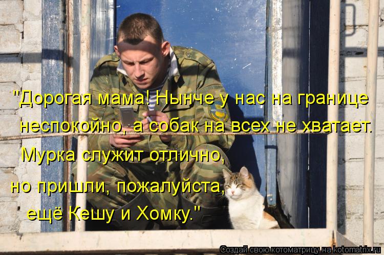 "Дорогая мама! Нынче у нас на границе неспокойно, а собак на всех не хватает. Мурка служит отлично, ... Котоматрица: "Дорогая мама! Нынче у нас на границе неспокойно, а собак на всех не хватает. Мурка служит отлично, но пришли, пожалуйста, ещё Кешу и Хомку."
