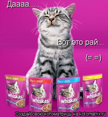 Даааа..... Вот это рай... (=.=)... Котоматрица: Даааа..... Вот это рай... (=.=)