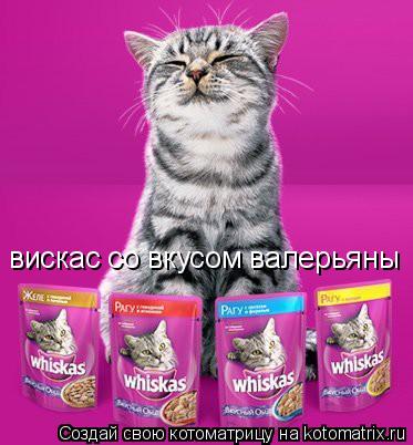 вискас со вкусом валерьяны... Котоматрица: вискас со вкусом валерьяны