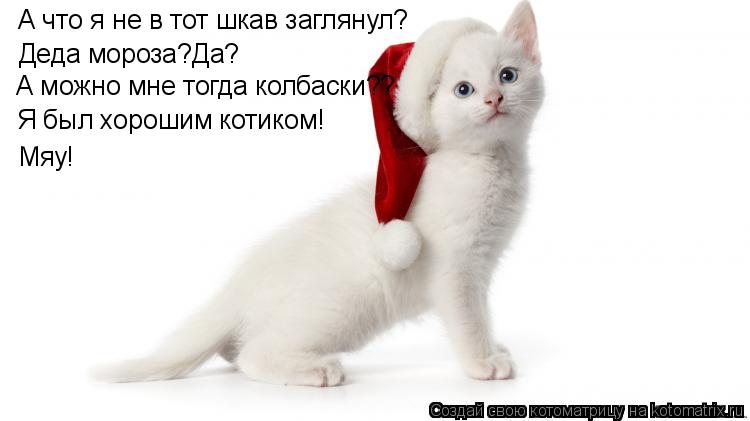 А что я не в тот шкав заглянул? Деда мороза?Да? А можно мне тогда колбаски?? Я был хорошим котиком! М... Котоматрица: А что я не в тот шкав заглянул? Деда мороза?Да? А можно мне тогда колбаски?? Я был хорошим котиком! Мяу!