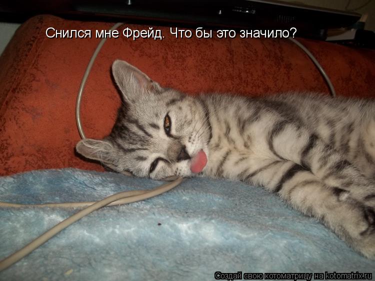 Снился мне Фрейд. Что бы это значило?... Котоматрица: Снился мне Фрейд. Что бы это значило?