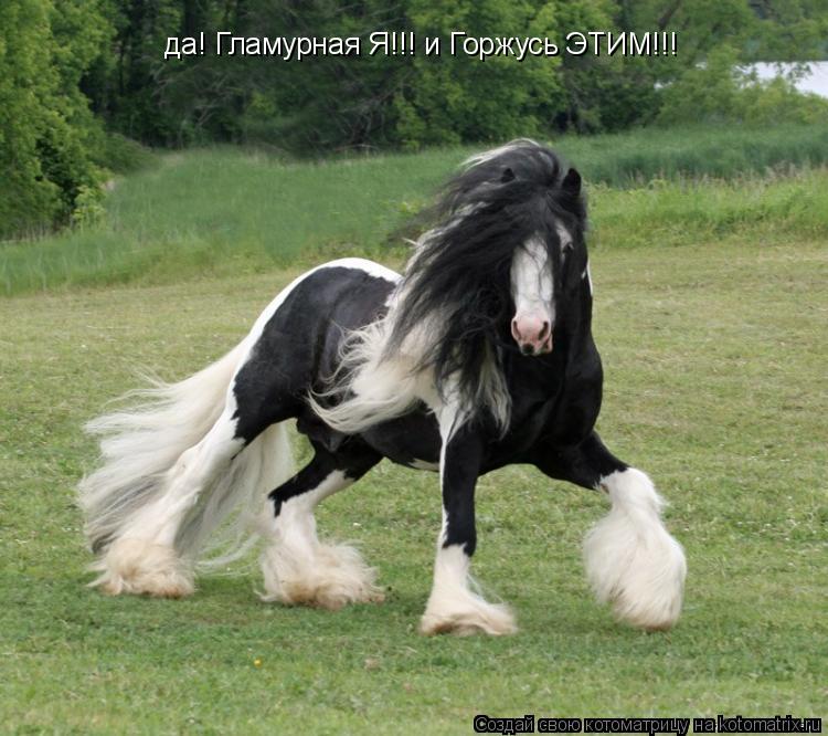 да! Гламурная Я!!! и Горжусь ЭТИМ!!!... Котоматрица: да! Гламурная Я!!! и Горжусь ЭТИМ!!!