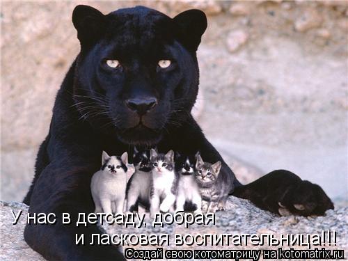 и ласковая воспитательница!!! У нас в детсаду, добрая... Котоматрица: и ласковая воспитательница!!! У нас в детсаду, добрая