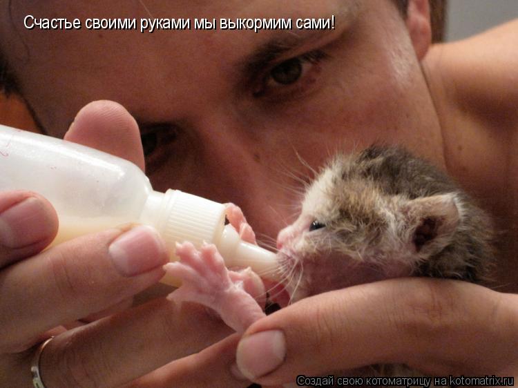 Счастье своими руками мы выкормим сами!... Котоматрица: Счастье своими руками мы выкормим сами!