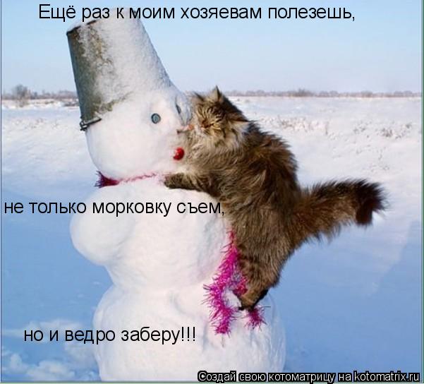 Ещё раз к моим хозяевам полезешь, не только морковку съем, но и ведро заберу!!!... Котоматрица: Ещё раз к моим хозяевам полезешь, не только морковку съем, но и ведро заберу!!!