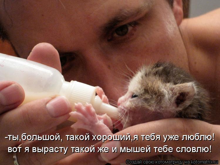 Котоматрица: -ты,большой, такой хороший,я тебя уже люблю! вот я вырасту такой же и мышей тебе словлю!