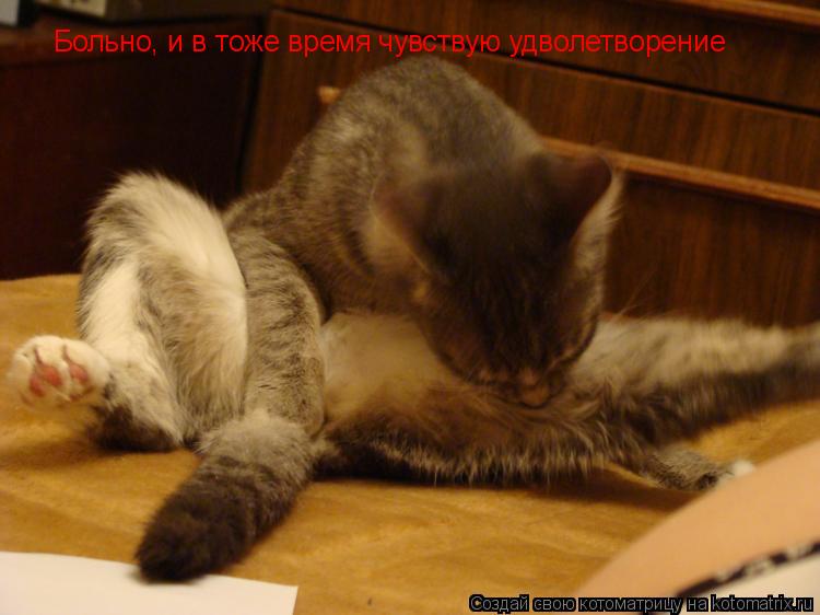Больно, и в тоже время чувствую удволетворение... Котоматрица: Больно, и в тоже время чувствую удволетворение