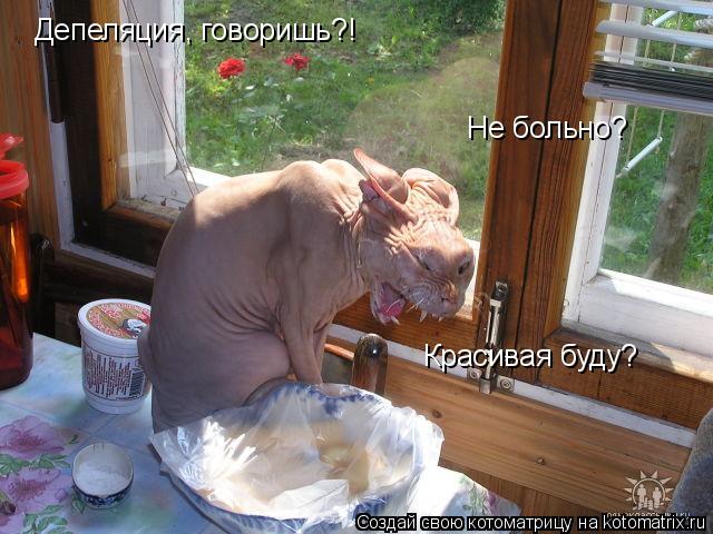 Котоматрица: Депеляция, говоришь?! Не больно? Красивая буду?