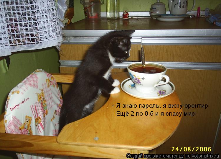 - Я знаю пароль, я вижу орентир Ещё 2 по 0,5 и я спасу мир!... Котоматрица: - Я знаю пароль, я вижу орентир Ещё 2 по 0,5 и я спасу мир!