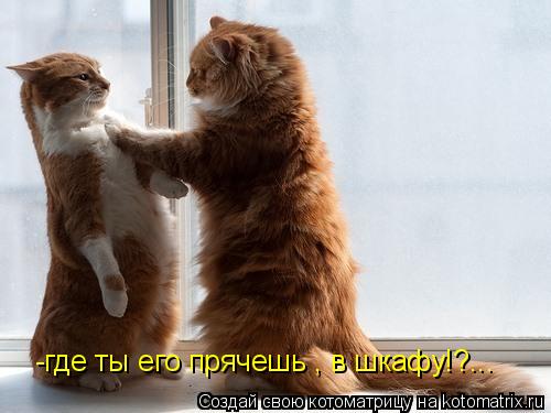 -где ты его прячешь , в шкафу!?...... Котоматрица: -где ты его прячешь , в шкафу!?...