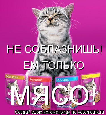 НЕ СОБЛАЗНИШЬ! МЯСО! ЕМ ТОЛЬКО... Котоматрица: НЕ СОБЛАЗНИШЬ! МЯСО! ЕМ ТОЛЬКО
