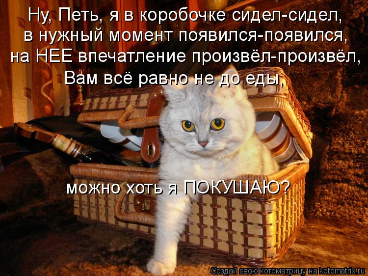 Ну, Петь, я в коробочке сидел-сидел, в нужный момент появился-появился, на НЕЕ впечатление произвёл-п... Котоматрица: Ну, Петь, я в коробочке сидел-сидел, в нужный момент появился-появился, на НЕЕ впечатление произвёл-произвёл, Вам всё равно не до еды, можно х