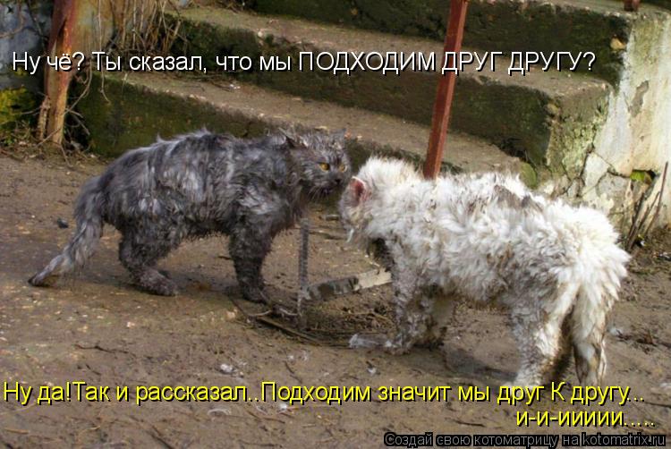 Ну чё? Ты сказал, что мы ПОДХОДИМ ДРУГ ДРУГУ? Ну да!Так и рассказал..Подходим значит мы друг К другу.... Котоматрица: Ну чё? Ты сказал, что мы ПОДХОДИМ ДРУГ ДРУГУ? Ну да!Так и рассказал..Подходим значит мы друг К другу... и-и-иииии.....