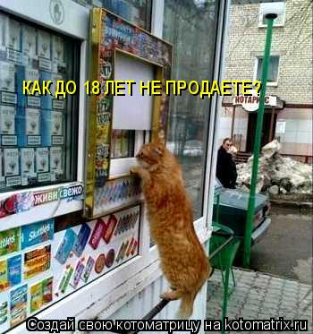 КАК ДО 18 ЛЕТ НЕ ПРОДАЕТЕ?... Котоматрица: КАК ДО 18 ЛЕТ НЕ ПРОДАЕТЕ?