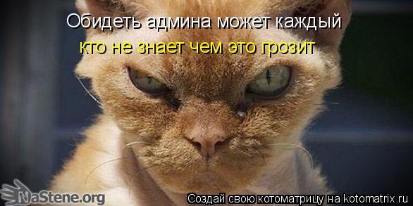 Обидеть админа может каждый кто не знает чем это грозит Обидеть админа может каждый кто не знает чем ... Котоматрица: Обидеть админа может каждый кто не знает чем это грозит Обидеть админа может каждый кто не знает чем это грозит