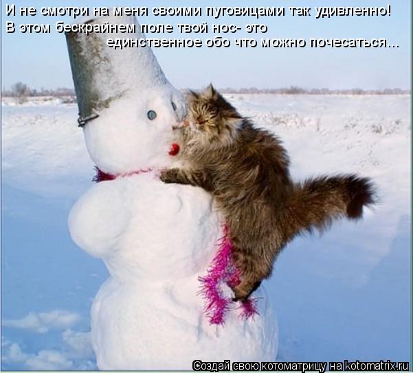 И не смотри на меня своими пуговицами так удивленно! В этом бескрайнем поле твой нос- это единственно... Котоматрица: И не смотри на меня своими пуговицами так удивленно! В этом бескрайнем поле твой нос- это единственное обо что можно почесаться...