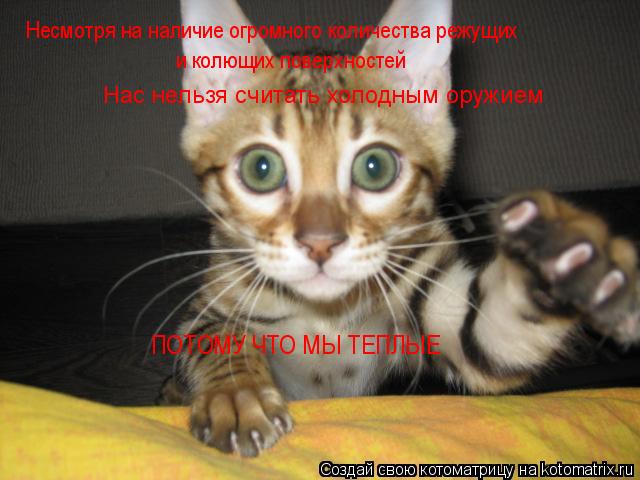 Несмотря на наличие огромного количества режущих и колющих поверхностей Нас нельзя считать холодным ... Котоматрица: Несмотря на наличие огромного количества режущих и колющих поверхностей Нас нельзя считать холодным оружием ПОТОМУ ЧТО МЫ ТЕПЛЫЕ