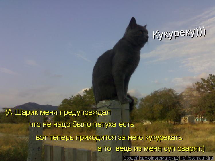 Кукуреку))) (А Шарик меня предупреждал что не надо было петуха есть, вот теперь приходится за него ку... Котоматрица: Кукуреку))) (А Шарик меня предупреждал что не надо было петуха есть, вот теперь приходится за него кукурекать а то ведь из меня суп сварят.)
