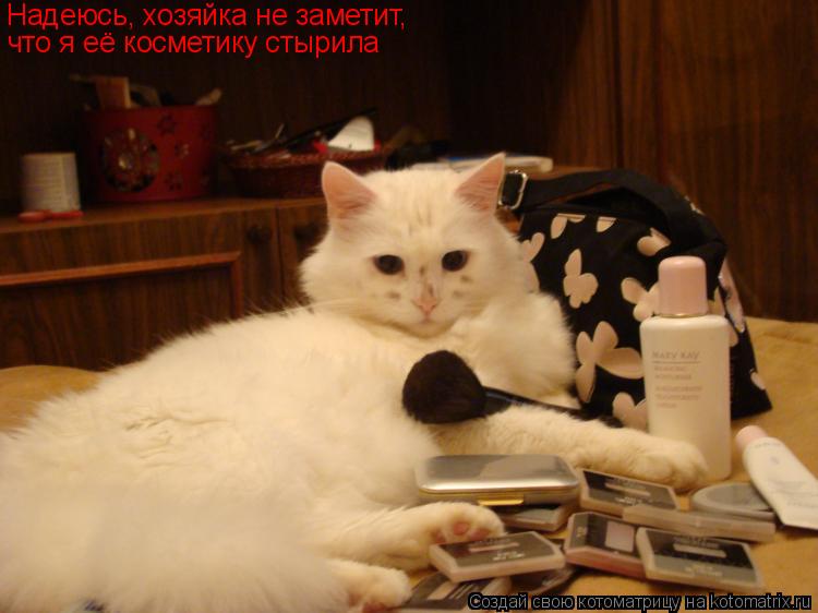 Надеюсь, хозяйка не заметит, что я её косметику стырила... Котоматрица: Надеюсь, хозяйка не заметит, что я её косметику стырила