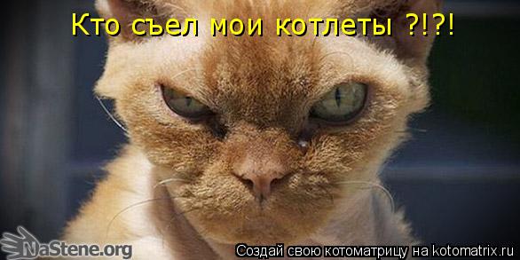 Кто съел мои котлеты ?!?!... Котоматрица: Кто съел мои котлеты ?!?!