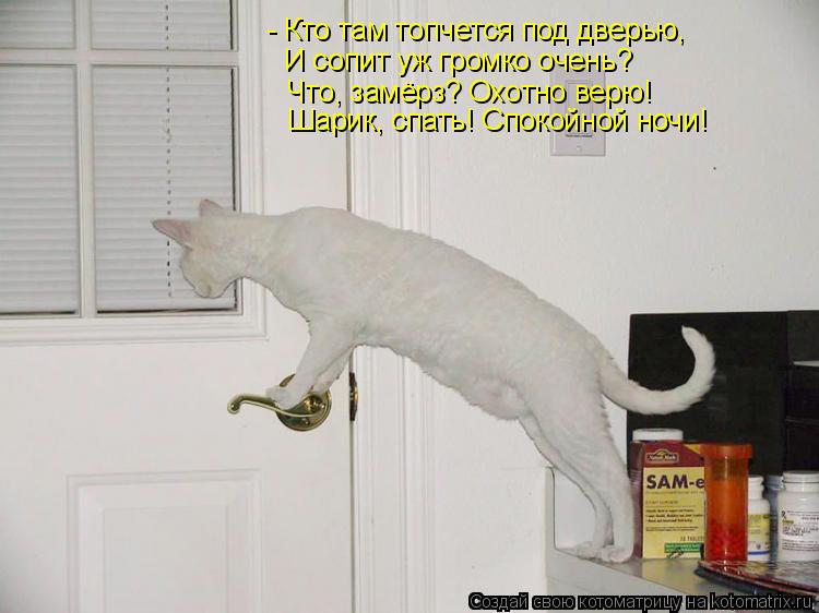 - Кто там топчется под дверью, И сопит уж громко очень? Что, замёрз? Охотно верю! Шарик, спать! Споко... Котоматрица: - Кто там топчется под дверью, И сопит уж громко очень? Что, замёрз? Охотно верю! Шарик, спать! Спокойной ночи!
