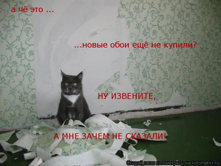 а чё это ... ...новые обои ещё не купили? А МНЕ ЗАЧЕМ НЕ СКАЗАЛИ! НУ ИЗВЕНИТЕ,... Котоматрица: а чё это ... ...новые обои ещё не купили? А МНЕ ЗАЧЕМ НЕ СКАЗАЛИ! НУ ИЗВЕНИТЕ,