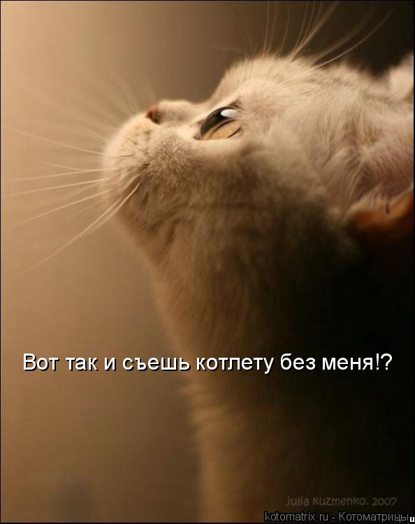 Вот так и съешь котлету без меня!?... Котоматрица: Вот так и съешь котлету без меня!?