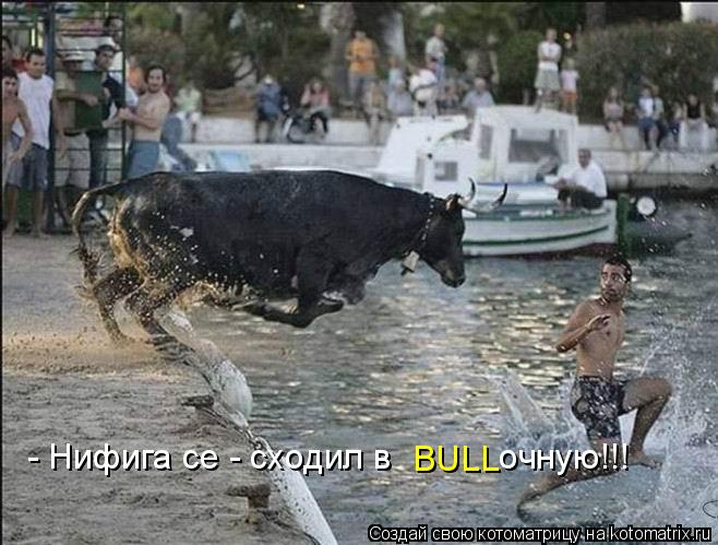 - Нифига се - сходил в очную!!! BULL... Котоматрица: - Нифига се - сходил в очную!!! BULL