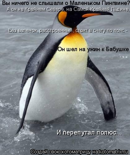 Вы ничего не слышали о Маленьком Пингвине? А он на Крайнем Севере, на Самой Крайней Льдине, Без вален... Котоматрица: Вы ничего не слышали о Маленьком Пингвине? А он на Крайнем Севере, на Самой Крайней Льдине, Без валенок, расстроенный, стоит в снегу по пояс -