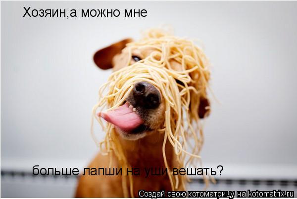 Хозяин,а можно мне больше лапши на уши вешать?... Котоматрица: Хозяин,а можно мне больше лапши на уши вешать?