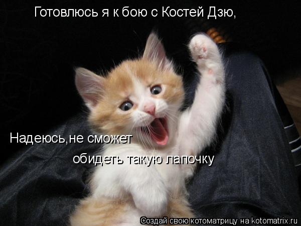 Готовлюсь я к бою с Костей Дзю, Надеюсь,не сможет обидеть такую лапочку... Котоматрица: Готовлюсь я к бою с Костей Дзю, Надеюсь,не сможет обидеть такую лапочку