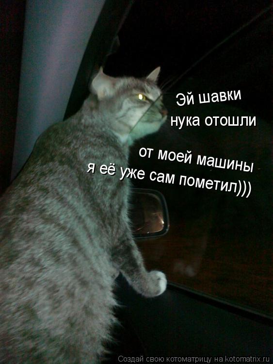 Эй шавки нука отошли от моей машины я её уже сам пометил)))... Котоматрица: Эй шавки нука отошли от моей машины я её уже сам пометил)))