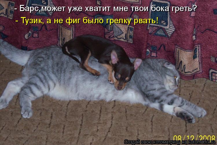 - Барс,может уже хватит мне твои бока греть? - Тузик, а не фиг было грелку рвать!... Котоматрица: - Барс,может уже хватит мне твои бока греть? - Тузик, а не фиг было грелку рвать!