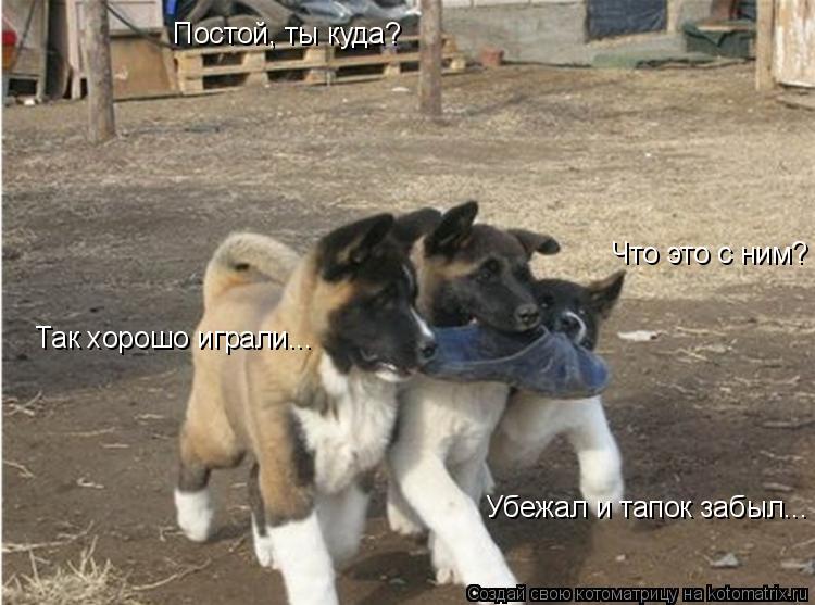Так хорошо играли... Постой, ты куда? Что это с ним? Убежал и тапок забыл...... Котоматрица: Так хорошо играли... Постой, ты куда? Что это с ним? Убежал и тапок забыл...