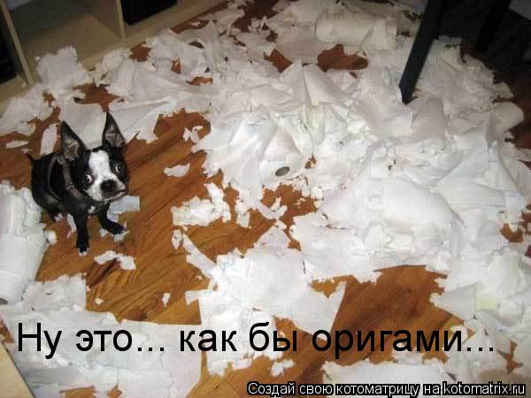 Ну это... как бы оригами...... Котоматрица: Ну это... как бы оригами...