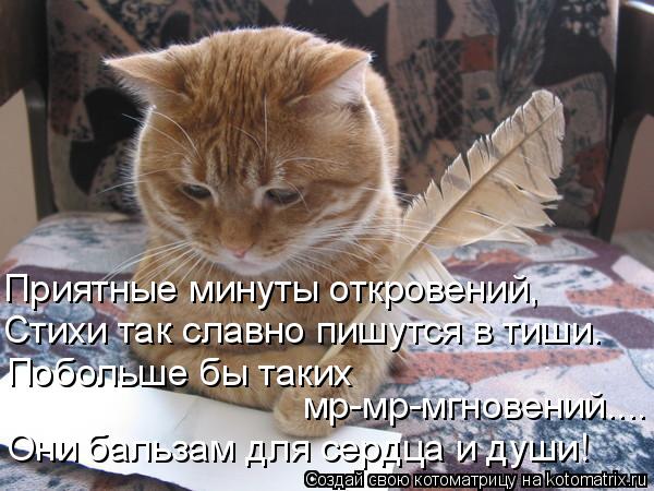Приятные минуты откровений, Стихи так славно пишутся в тиши. Побольше бы таких мр-мр-мгновений.... О... Котоматрица: Приятные минуты откровений, Стихи так славно пишутся в тиши. Побольше бы таких мр-мр-мгновений.... Они бальзам для сердца и души!
