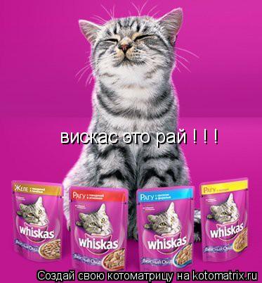 вискас это рай ! ! !... Котоматрица: вискас это рай ! ! !