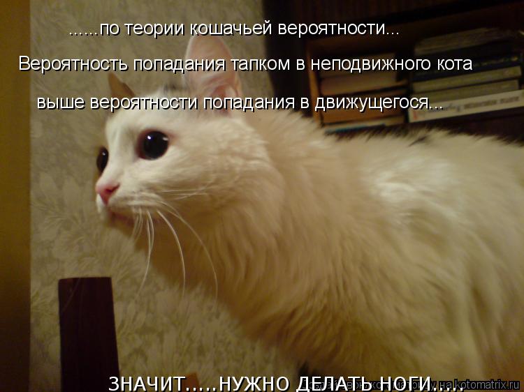 ......по теории кошачьей вероятности... Вероятность попадания тапком в неподвижного кота выше вероятн... Котоматрица: ......по теории кошачьей вероятности... Вероятность попадания тапком в неподвижного кота выше вероятности попадания в движущегося... ЗНАЧИТ....
