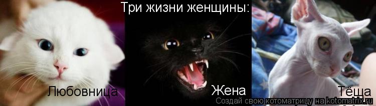 Жена Тёща Любовница Три жизни женщины:... Котоматрица: Жена Тёща Любовница Три жизни женщины: