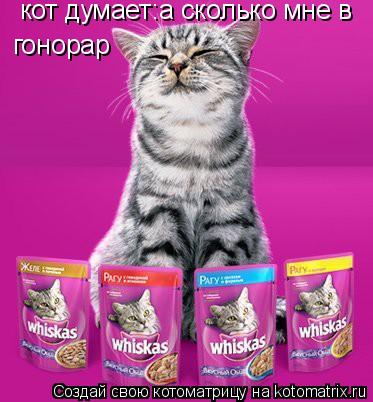 кот думает:а сколько мне в гонорар... Котоматрица: кот думает:а сколько мне в гонорар