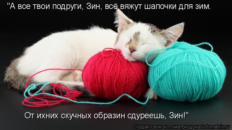 "А все твои подруги, Зин, всё вяжут шапочки для зим. От ихних скучных образин сдуреешь, Зин!"... Котоматрица: "А все твои подруги, Зин, всё вяжут шапочки для зим. От ихних скучных образин сдуреешь, Зин!"