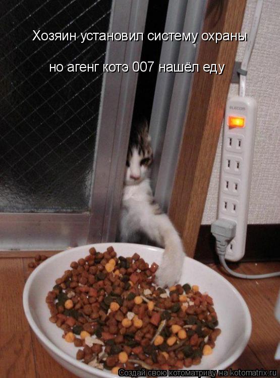 Хозяин установил систему охраны но агенг котэ 007 нашёл еду... Котоматрица: Хозяин установил систему охраны но агенг котэ 007 нашёл еду