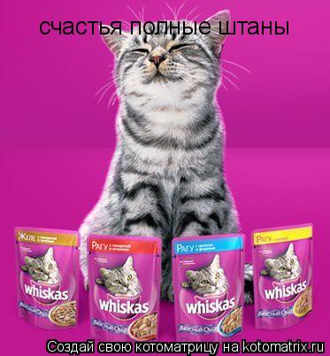 счастья полные штаны... Котоматрица: счастья полные штаны