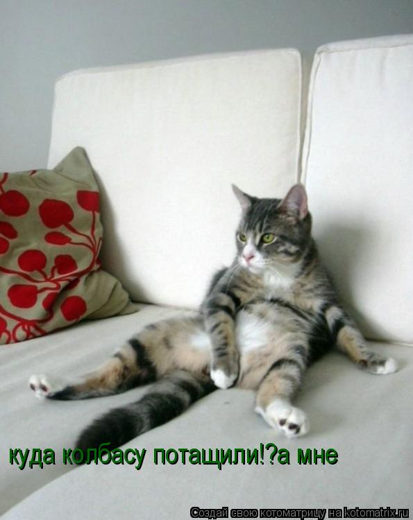 куда колбасу потащили!?а мне... Котоматрица: куда колбасу потащили!?а мне