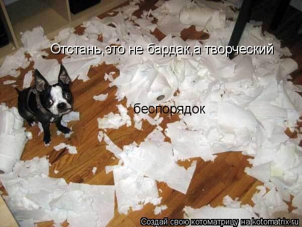 Отстань,это не бардак,а творческий беспорядок... Котоматрица: Отстань,это не бардак,а творческий беспорядок